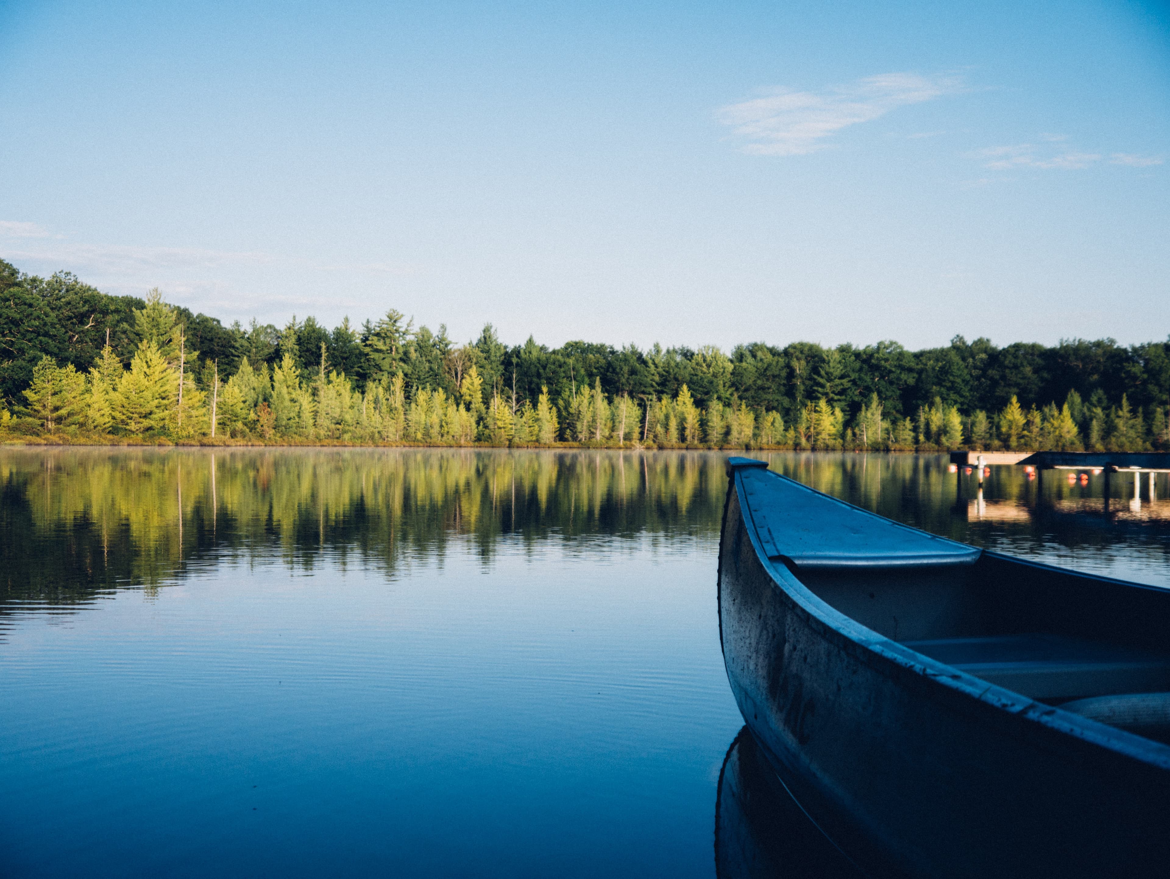 forest lake