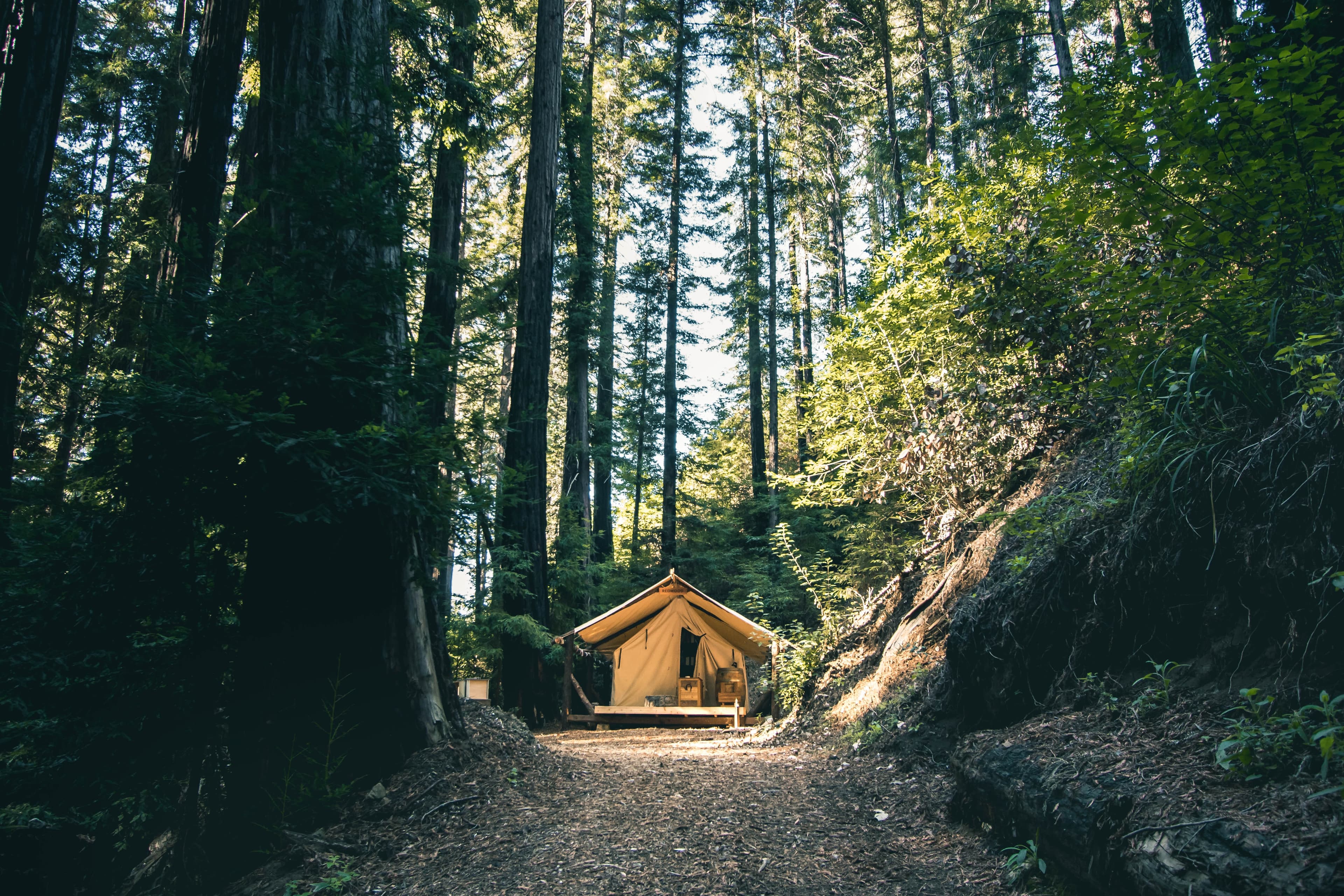 tent picture